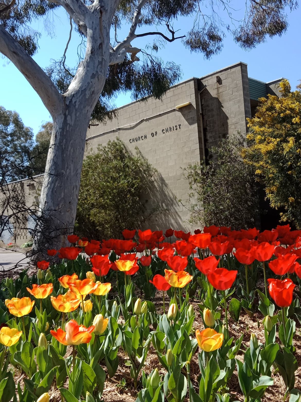 Red Hill Churches of Christ Australia NSW & ACT Unity. Restoration. Life.