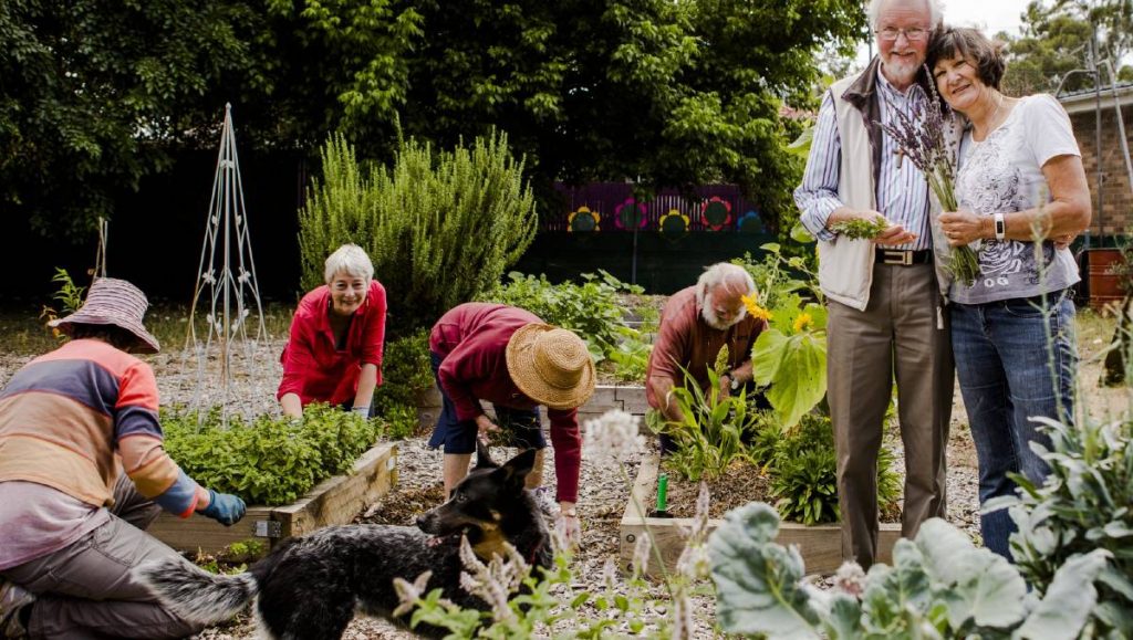 Ken and Chris Perrin in the church's community garden at Ainslie in 2016 (photo by Jamila Toderas)